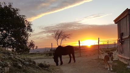 Les Crins De Caral, Pension pour Chevaux à Aspiran
