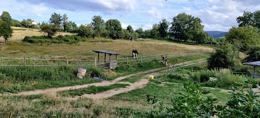 Écurie de La Dinasse, Centre Equestres à Marat