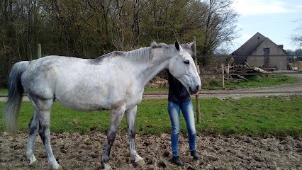DES ECURIES DE SAINT GERMAIN DES PRES, Centre Equestres à Saint-Germain-des-Prés