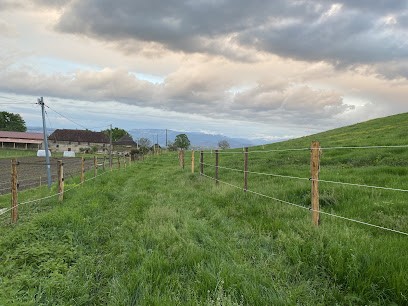 Le Haras du Tizieu, Pension pour Chevaux à Chimilin