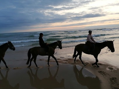 Olivier Bauer, Centre Equestres à Saint-Paul-en-Born