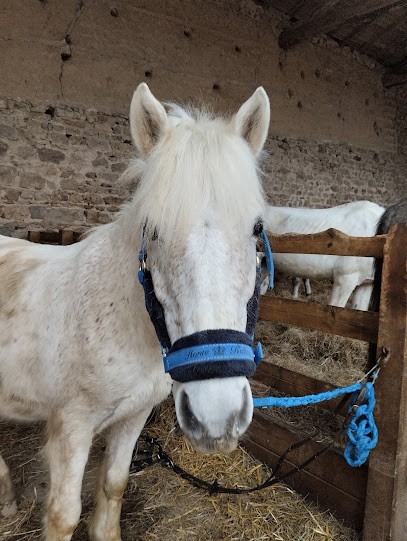 LA RANDONNEE DE POLLIONNAY, Centre Equestres à Pollionnay