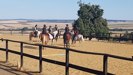 CENTRE EQUESTRE PONEY CLUB LES CHAMPCHARDONS, Centre Equestres à Senan