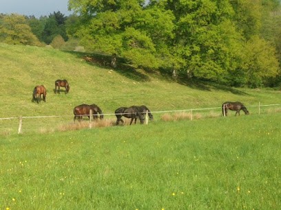 Equestrian Center Academy Arts Chevaleresques, Centre Equestres à Dournazac