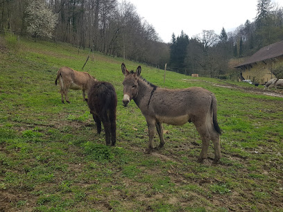 Écurie Du Domaine De Rosière, Centre Équestre à Glay