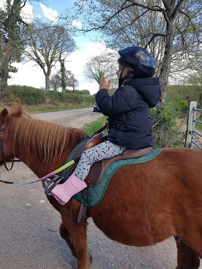 Les Ecuries De Dreuille, Centre Equestres à Tortezais