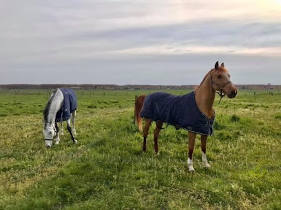 Écuries du Destin Lefebure, Pension pour Chevaux à Téteghem-Coudekerque-Village