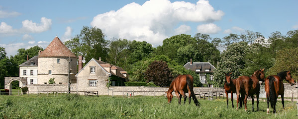 Ecurie Nicolas Tison - Elevage Des Etangs, Centre Équestre à Fay-les-Étangs