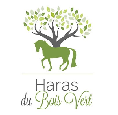 Haras Du Bois Vert, Pension pour Chevaux à Mouriès