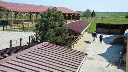 Les écuries des Champeaux, Centre Equestres à Montmirail