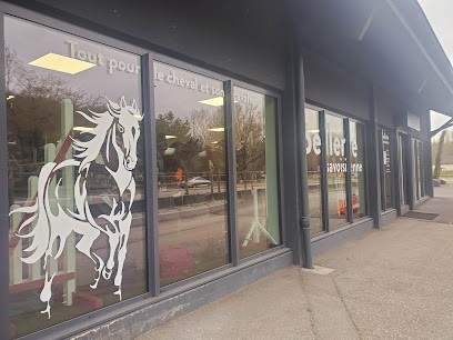 Sellerie Savoisienne, Magasin de Matériel d'Equitation à Voglans