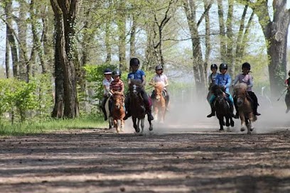 The Stud Vallée, Centre Equestres à Valencisse