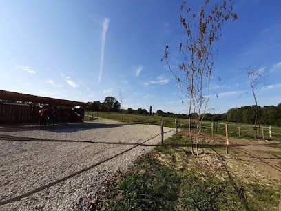 Ecurie de rebuans, Pension pour Chevaux à Saillenard