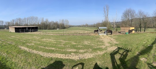 Ferme equestre de saint laurent, Pension pour Chevaux à Montauban