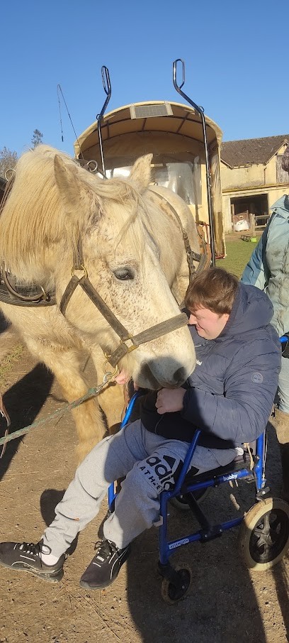 Equestrian Center De La Taille Ronde, Centre Equestres à Martainville