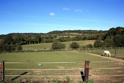 Equestrian Center De Guerlédan, Centre Equestres à Guerlédan