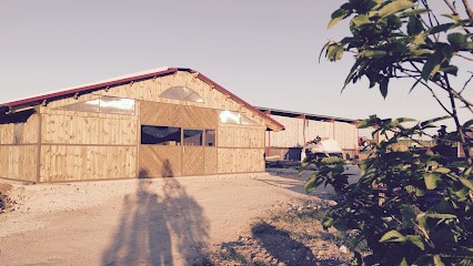 Ecurie des 4, Pension pour Chevaux à Villeneuve-sur-Auvers