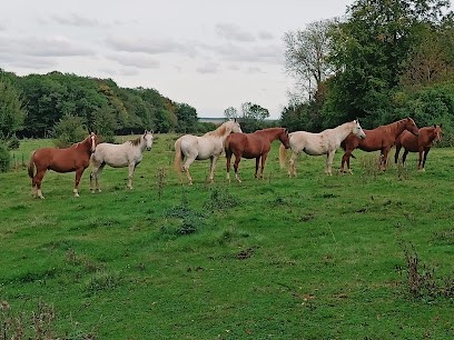 Ecurie de la Charme, Pension pour Chevaux à Ageville