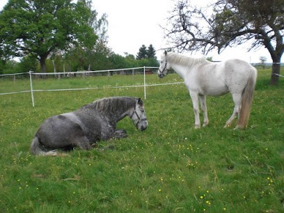 Relais du Cheval, Pension pour Chevaux à Thurey