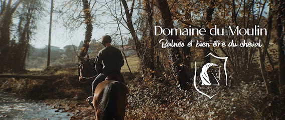 Domaine Du Moulin - Centre De Balnéo Et Bien-Être Pour Les Chevaux Centre Équestre à Juvigny