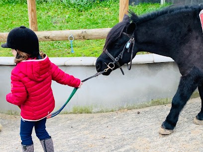 CENTRE EQUESTRE PONEY CLUB DE MARLY LE ROI, Centre Equestres à Marly-le-Roi