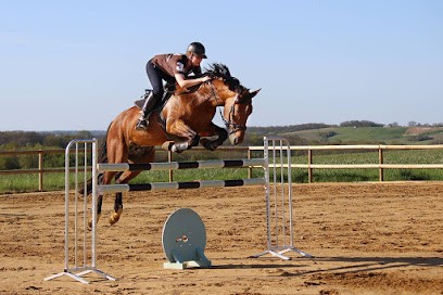 Écurie Wendy Terras | Ecurie Gers - Equitation, Pension pour Chevaux à Lupiac