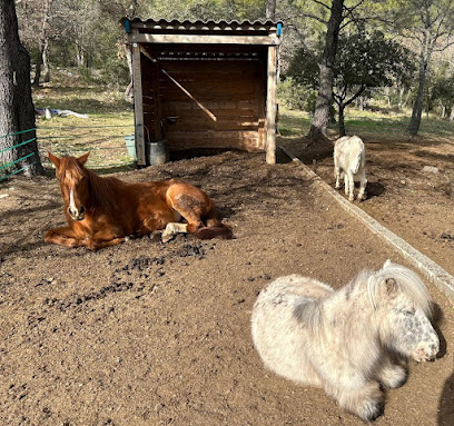 Mon Ami Poney® Sainte Anastasie Sur Issole, Centre Équestre à Sainte-Anastasie-sur-Issole