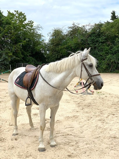 Equestrian Space Du Bec Hellouin, Centre Equestres au Bec-Hellouin