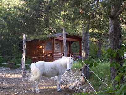 Equestrian Center Le Centaure, Centre Equestres à La Roche-des-Arnauds