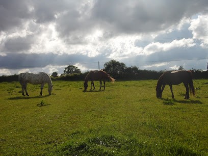 Lebrun Michel, Centre Equestres à Morannes sur Sarthe-Daumeray