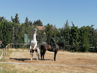 LE VEGASSON, Centre Equestres à Pernes-les-Fontaines