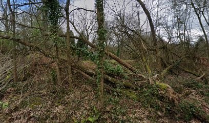 Ecuries Benjamin Robert, Centre Equestres à Pleudihen-sur-Rance
