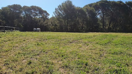 La Pension De Croigne, Centre Equestres à Lambesc
