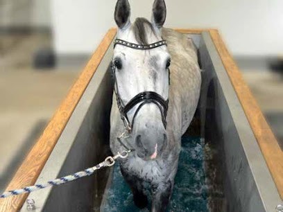 Le Mas De Florestan, Centre Equestres à Saint-Rémy-de-Provence