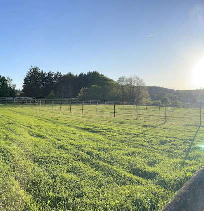 Jk Equestrian Academy Pension Pour Chevaux à Saulx-les-Chartreux
