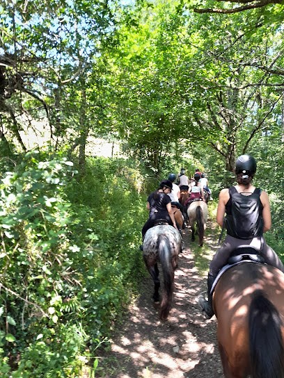 Equestrian Farm De Pomayret, Centre Equestres à Moyrazès