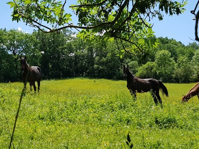 Ecurie de Bellecombe, Centre Equestres aux Issards