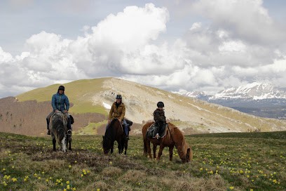 Speech De Cheval, Centre Equestres à Vassieux-en-Vercors