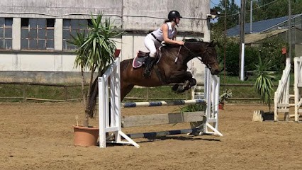 Ecurie Du Monteil, Centre Equestres à Saint-Junien