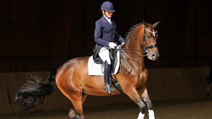 Ecurie du Centre Equestre du Bien Aller, Pension pour Chevaux à Cérilly
