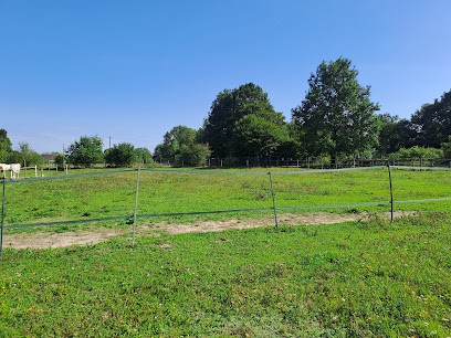 Pension de Tulipe, Pension pour Chevaux à Recloses