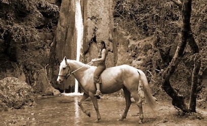 EquiTerre, Centre Equestres à Dun