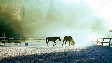 Scea Des Trois Rivières, Centre Equestres à Plombières-les-Bains