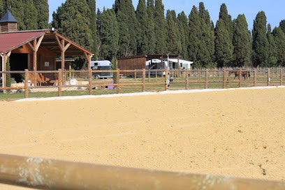 Haras De La Chenaie, Centre Equestres à Mollégès