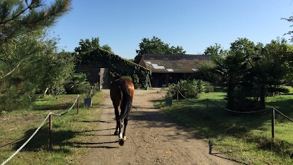 Ecuries Roman Montfort, Centre Equestres à Saint-Aignan-Grandlieu