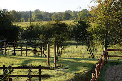 Ecurie El Duende, Pension Pour Chevaux à Valdallière
