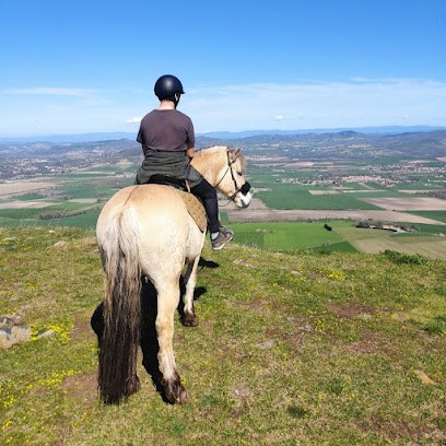 Espace Equestre de Lapiota - Balade à cheval, promenade en main, randonnée et médiation animale, Centre Equestres à Saint-Sandoux