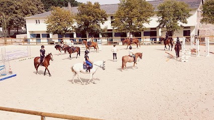 Stables Yann Catier, Centre Equestres à Plaisir