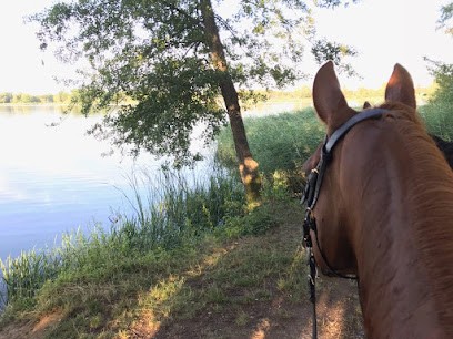 Le Haras De Diane Equestrian Center, Centre Equestres à Diane-Capelle