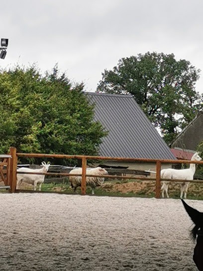 Ecurie Du Chatel, Centre Equestres à Piffonds